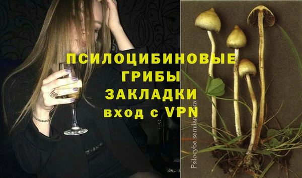 spice Алексин