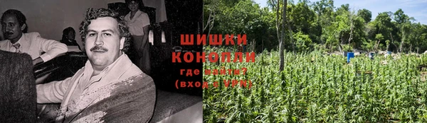 spice Алексин